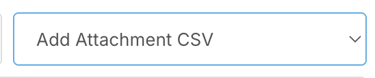 How do I schedule a report to send automatically? - Setting Delivery Format