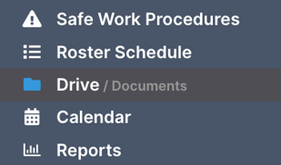 How do I use the FlowLogic Drive? - Accessing the Drive