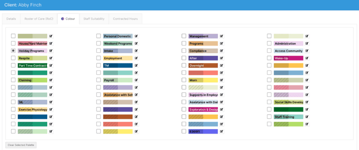 The client Colour tab with a palette colour selected